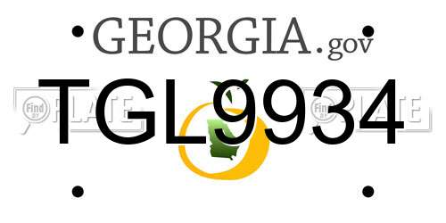 TGL9934 Georgia License Plate