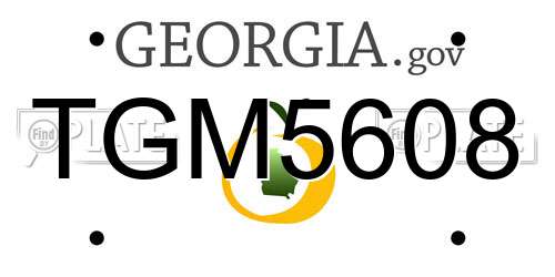 TGM5608 Georgia License Plate