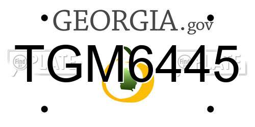 TGM6445 Georgia License Plate