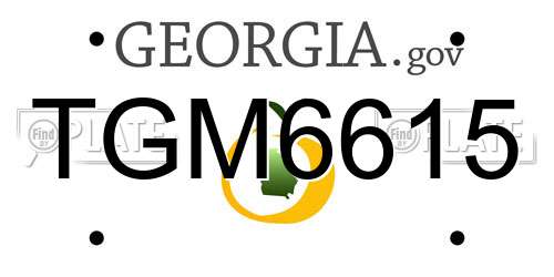 TGM6615 Georgia License Plate
