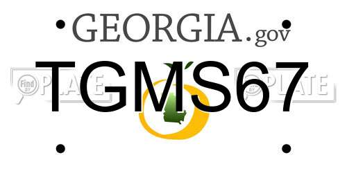 TGMS67 Georgia License Plate