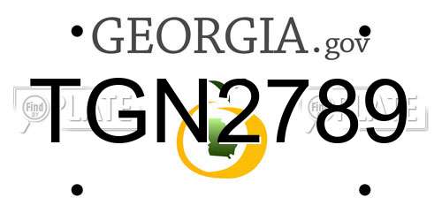 TGN2789 Georgia License Plate