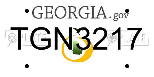 TGN3217 Georgia License Plate