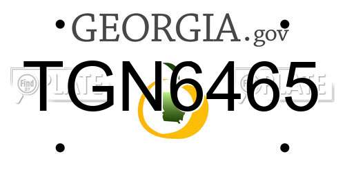 TGN6465 Georgia License Plate