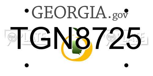 TGN8725 Georgia License Plate