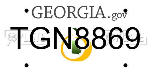 TGN8869 Georgia License Plate