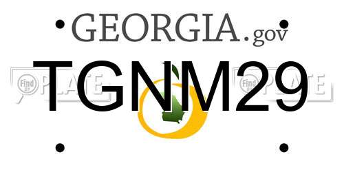 TGNM29 Georgia License Plate