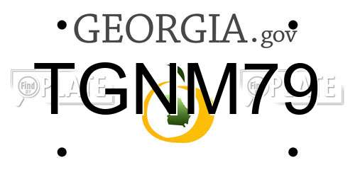 TGNM79 Georgia License Plate