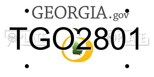 TGO2801 Georgia License Plate