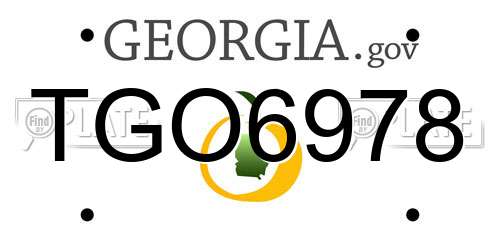 TGO6978 Georgia License Plate