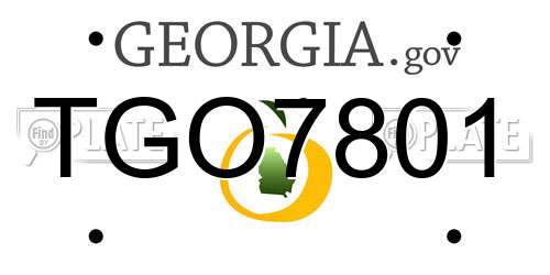 TGO7801 Georgia License Plate