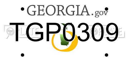 TGP0309 Georgia License Plate