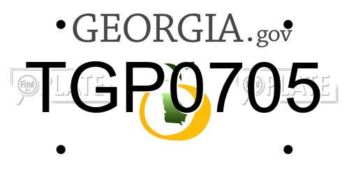 TGP0705 Georgia License Plate