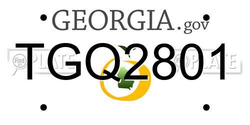 TGQ2801 Georgia License Plate