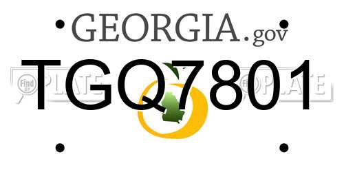 TGQ7801 Georgia License Plate