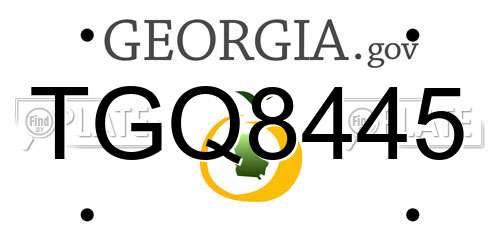 TGQ8445 Georgia License Plate