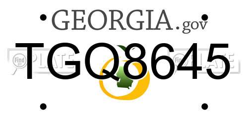 TGQ8645 Georgia License Plate