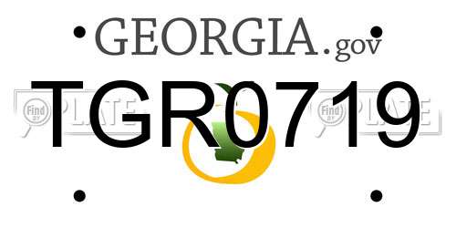 TGR0719 Georgia License Plate