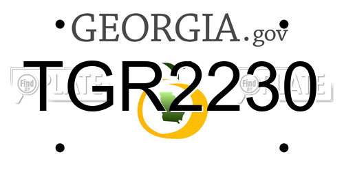 TGR2230 Georgia License Plate
