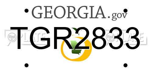 TGR2833 Georgia License Plate