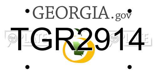 TGR2914 Georgia License Plate