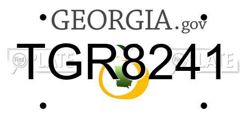 TGR8241 Georgia License Plate