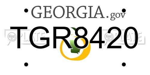 TGR8420 Georgia License Plate