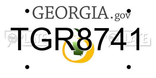TGR8741 Georgia License Plate