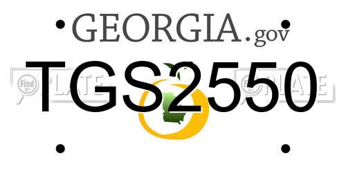 TGS2550 Georgia License Plate