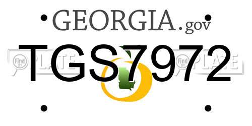 TGS7972 Georgia License Plate