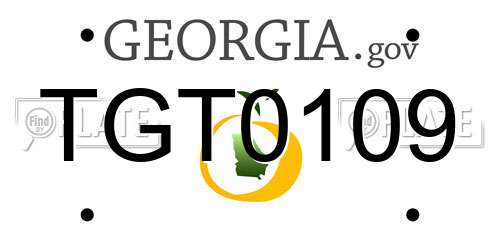 TGT0109 Georgia License Plate
