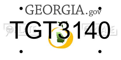 TGT3140 Georgia License Plate