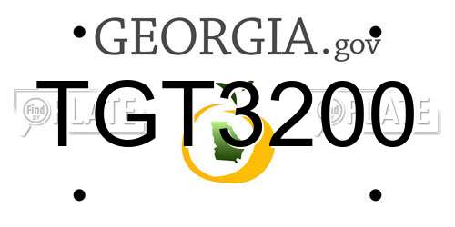 TGT3200 Georgia License Plate