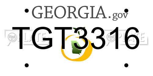 TGT3316 Georgia License Plate