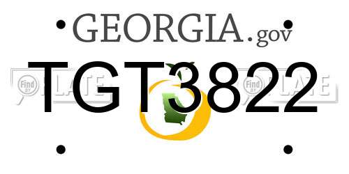 TGT3822 Georgia License Plate