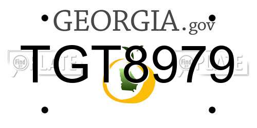 TGT8979 Georgia License Plate