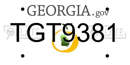 TGT9381 Georgia License Plate