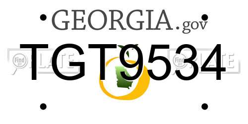 TGT9534 Georgia License Plate