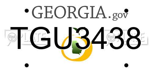TGU3438 Georgia License Plate