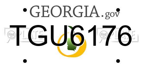 TGU6176 Georgia License Plate