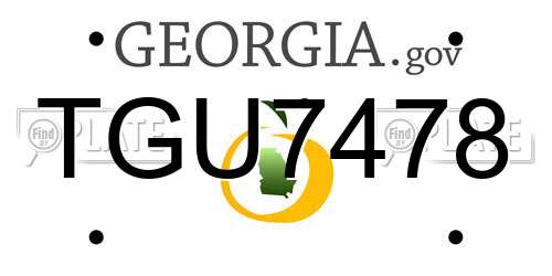 TGU7478 Georgia License Plate