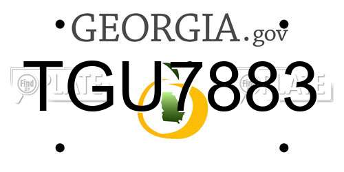 TGU7883 Georgia License Plate
