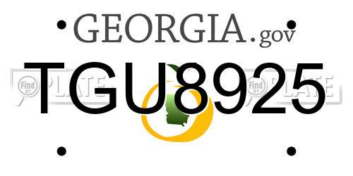 TGU8925 Georgia License Plate