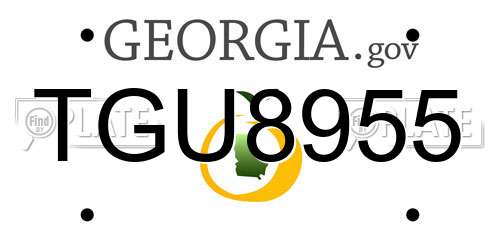 TGU8955 Georgia License Plate