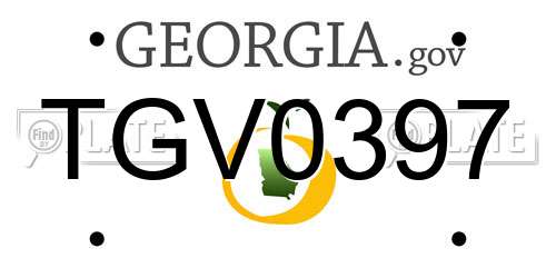 TGV0397 Georgia License Plate