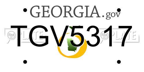 TGV5317 Georgia License Plate