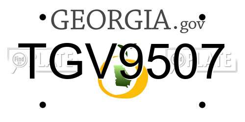 TGV9507 Georgia License Plate