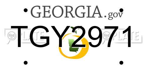 TGY2971 Georgia License Plate