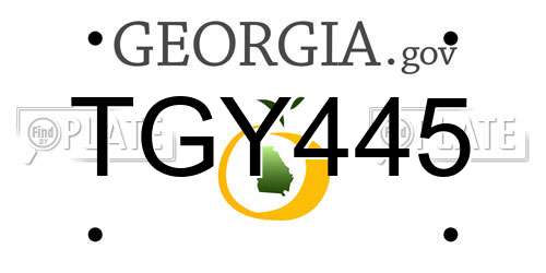 TGY445 Georgia License Plate