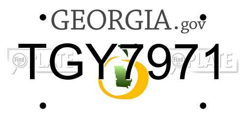 TGY7971 Georgia License Plate